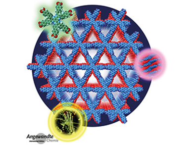 Angewandte Chemie 39/2018: Embrace Chemistry