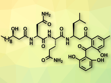 Total Synthesis of Asperphenins