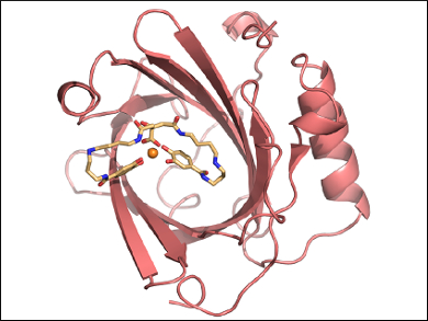 A Growth Suppressor for the Anthrax Bacillus