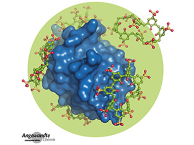 Angewandte Chemie 42/2018: Trusted Source