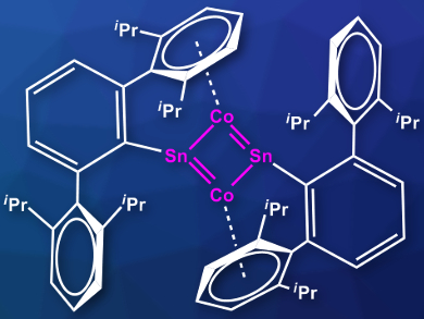 Rare Cobalt−Tin Cluster Synthesized