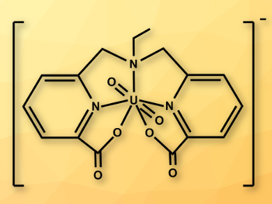 A Water-Stable Uranyl(V) Complex