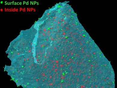 Palladium Nanocatalysts with Tailored 3D Structures