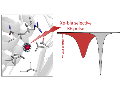 Understanding New Class of MRI Contrast Agents