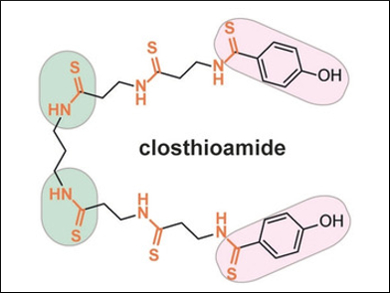 Biosynthesis of Antibiotic in Bacteria Explained