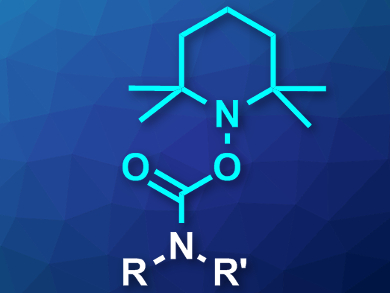 New Protecting Group for Amines