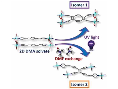 Controlled Cycloaddition in a Coordination Polymer