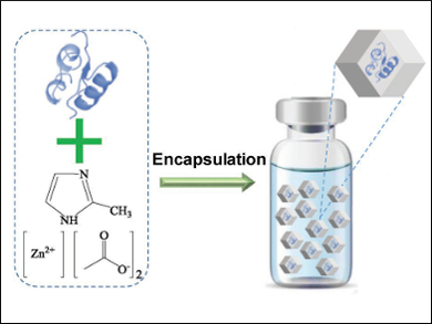 Keeping Insulin Fresh Inside a Metal–Organic Framework