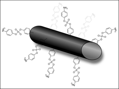 Improving the Adhesion of Carbon Fibers