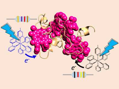 Light-Triggered Biomolecular Wires and Resistors