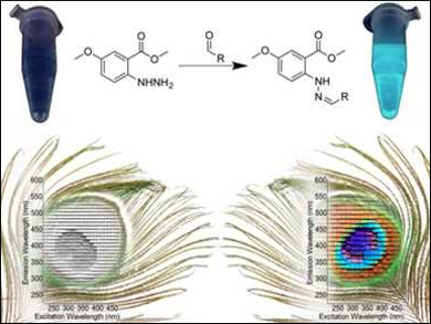 Identifying Biogenic Aldehydes with Fluorescent Fingerprinting