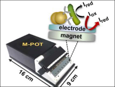 Electrochemical Detection of Bacterial Infections