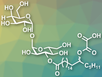 Total Synthesis of Potential Anti-Influenza Compounds