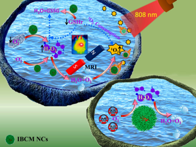 Enzyme-Mimicking Nanocomposites