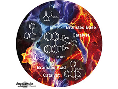 Angewandte Chemie 45/2018: Versatility