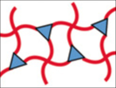 Synthetic Hydrogels for 3D Cell Cultures