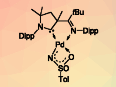 An Isolable Palladium Terminal Imido Complex