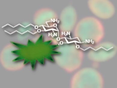 Fluorescent Antifungal Agents