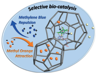 Enzyme Encapsulation in Metal–Organic Frameworks
