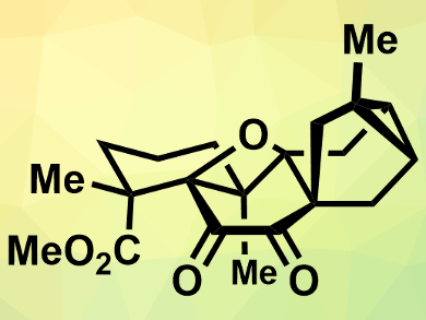 First Synthesis of (−)-Mitrephorone A