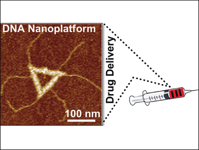 DNA Origami Full of Potent Anticancer Agents