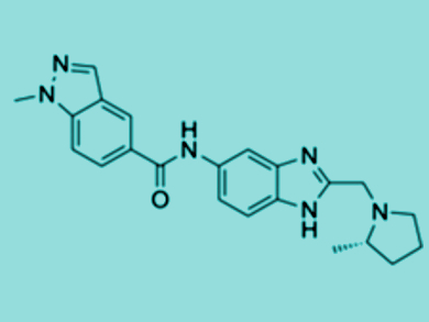 Leukemia Epigenetics in Focus