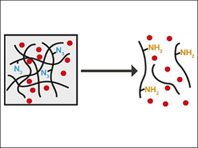 Click Reaction Dissolves Hydrogel for Drug Release