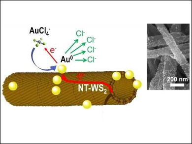 Tungsten Disulfide Nanotubes as Sensors