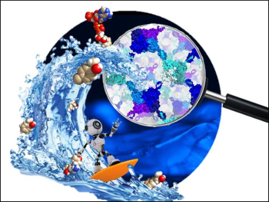 Sustainable Chemistry with Enzyme Gels