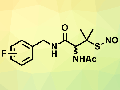 New Nitric Oxide Donors