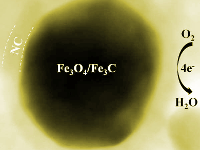 Iron-Based Hybrid Electrocatalysts