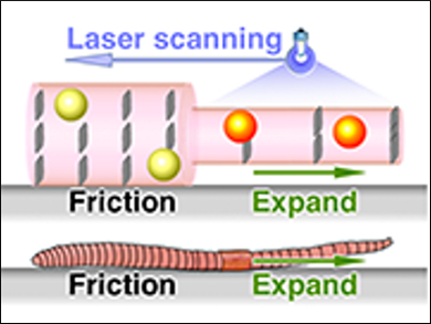 Hydrogel Crawls Like an Earthworm