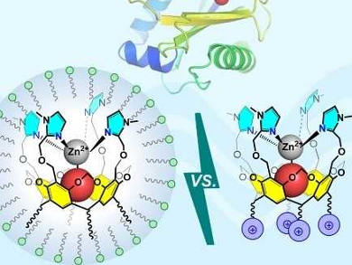 Molecular Recognition in Water