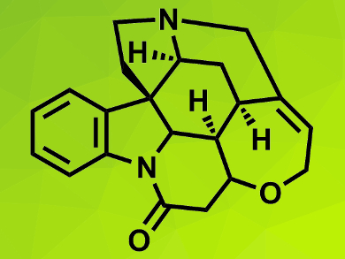 New Asymmetric Total Synthesis of (+)-Strychnine