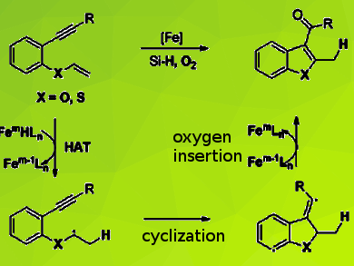 Hydrofunctionalization of 1,6-Enynes