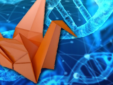 Fully Automatic Design of 2D DNA Nanostructures