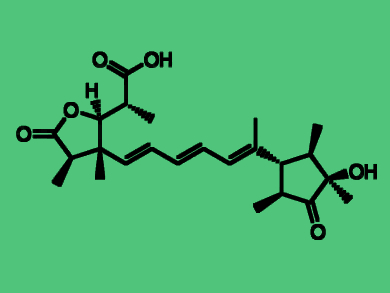 Biosynthesis of New Polyenes