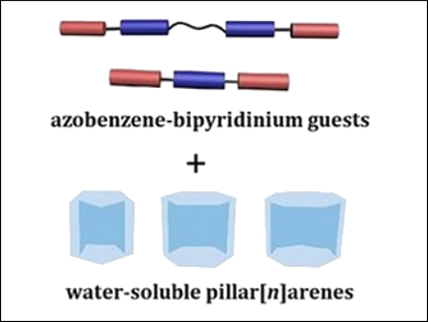 Water-Soluble Self-Assembly with Pillar[n]arene Homologues