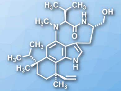 Total Synthesis of Teleocidins B