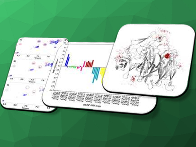 New NMR Method to Study Protein-Ligand Interactions