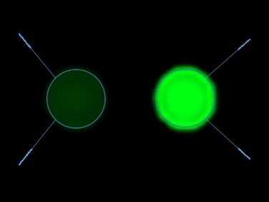 DNAzyme-Based Paper Sensor for Bacteria