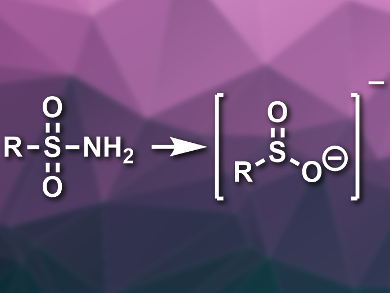 Versatile Conversion of Sulfonamides