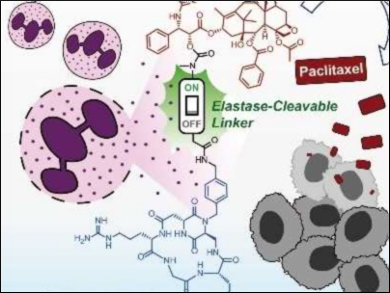 Tumor Targeting Using Cancer-Associated Inflammation