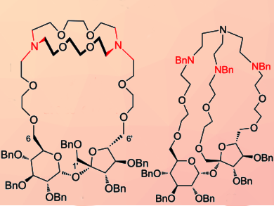 New Class of Macrocyclic Derivatives