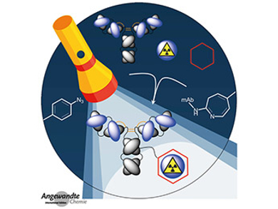 Angewandte Chemie 7/2019: Building Blocks