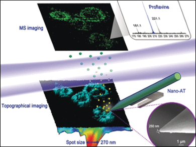 Finding Chemicals inside a Cell