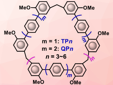 Concise Synthesis of Large Aromatic Macrocycles