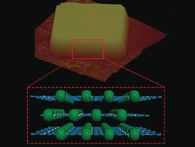 Organic 2D Materials Made by Self-Assembly