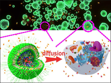 Polymer Dots for Hydrogen Therapy