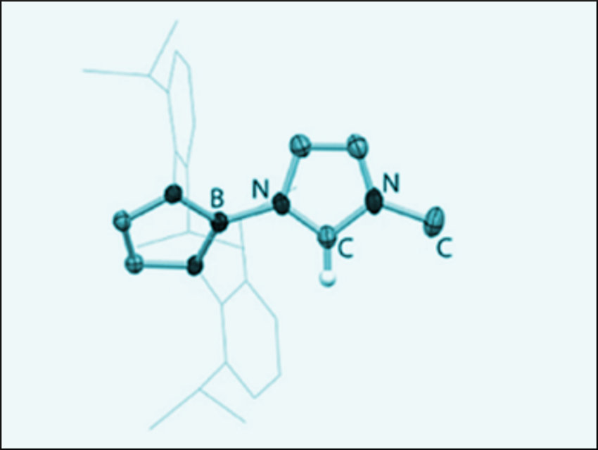 Borylated N-Heterocyclic Carbenes